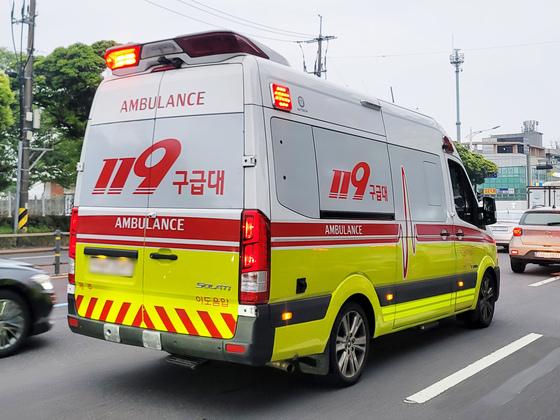 키우던 개 밥 주려다 물려…제주 80대 할머니 손가락 절단 '봉변'