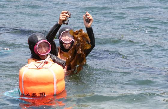 오영훈 지사 "해녀, 옥스퍼드 등재…제주 문화 가치 인정"
