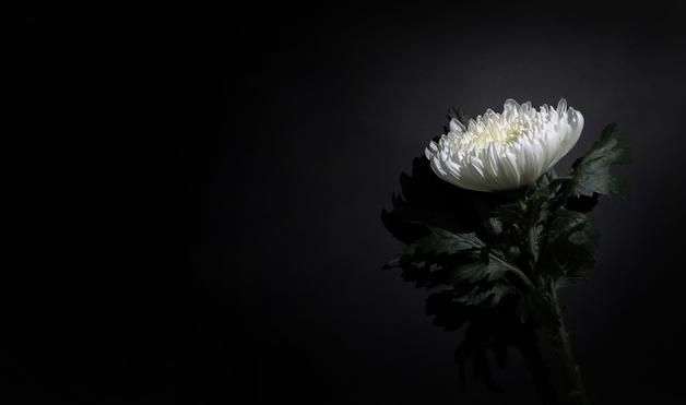 [부고] 강동훈 씨(제주도관광협회장) 장모상