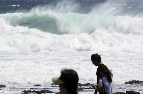 제주 3·1절 연휴 마지막날 강풍 거세져…최대 5m 파도