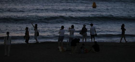 제주 협재·이호·삼양·월정해수욕장 야간 개장 종료