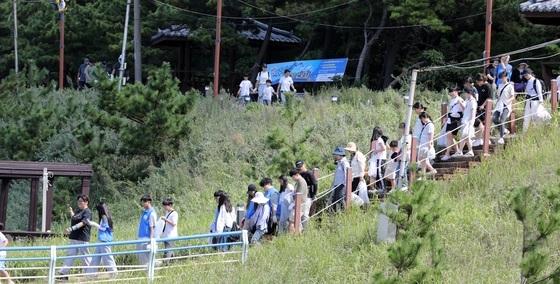  '걸으멍 도르멍 주시멍' 제7회 제주 플로깅 27일 개최