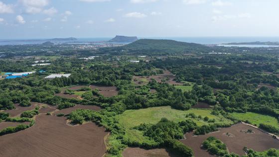 제주 사회협약위, 제2공항 갈등 중점관리 결정