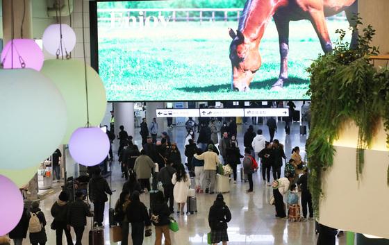 제주도, 재외도민증 누적 발급 12만건 돌파 눈앞