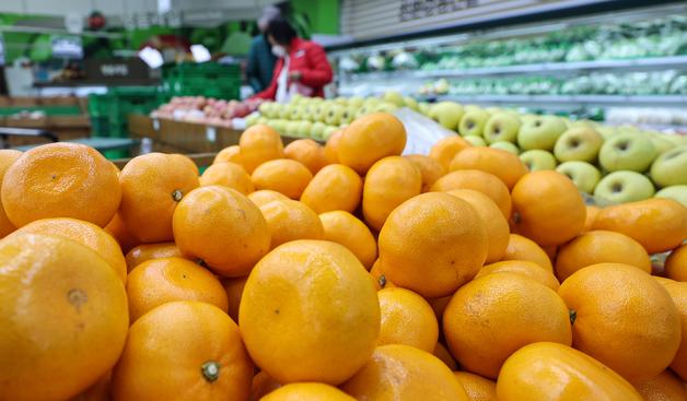 제주만감류연합회 "美 귤 '만다린' 무관세에도 품질·질서 유지 노력 절실"