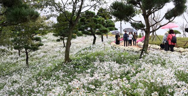 서리내리는 '상강' 깜짝 추위 끝…강원영동·부산·제주 비(종합)