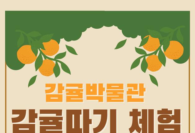 "맛있는 제주감귤 따기 체험도 하고 감귤도 가져가세요"
