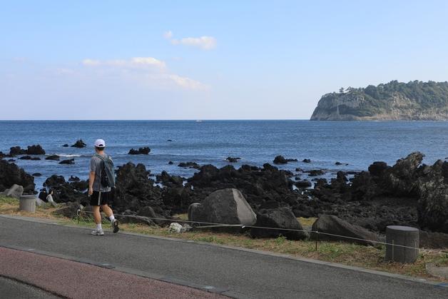 곧 11월인데 '반팔도 괜찮아'…포근한 제주 서귀포의 가을