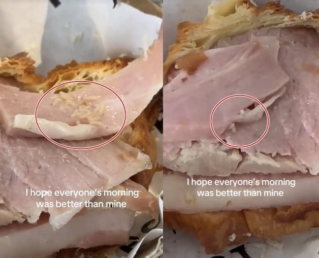 "한 입 먹은 크루아상에 구더기 수십마리 꿈틀"…호주 카페 영상 300만 조회 '난리' 
