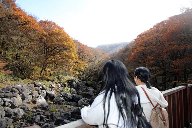 '단풍 절정' 한라산 온통 울긋불긋…곳곳 탐방객 발길 잇따라