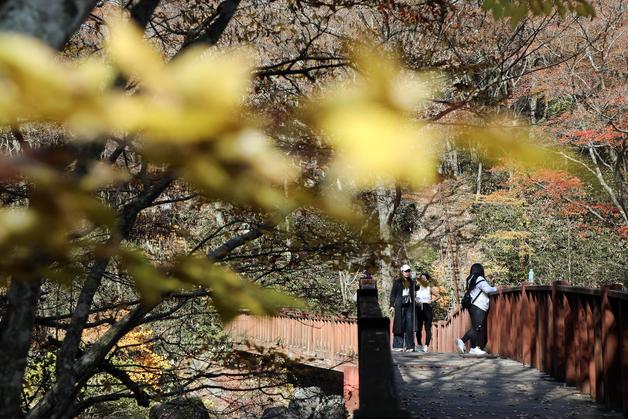 [오늘의 날씨] 제주(17일, 월)…늦은 밤부터 가끔 눈비