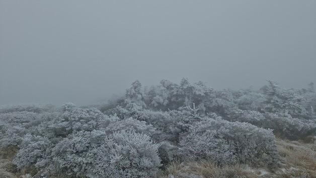 [오늘의 날씨]제주(15일, 월)…강한 바람에 체감온도 '뚝'