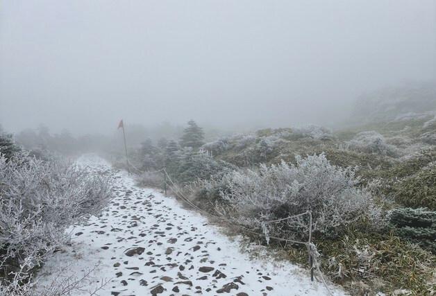 [오늘의 날씨] 제주(19일, 수)…아침까지 일부 비, 산지엔 눈