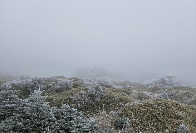 제주도 산지 대설주의보…"모레까지 최대 7㎝"