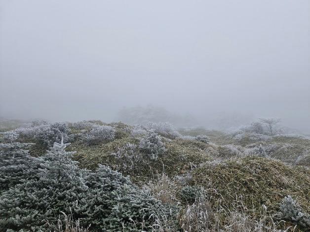 제주도 산지 대설주의보…"모레까지 최대 7㎝"