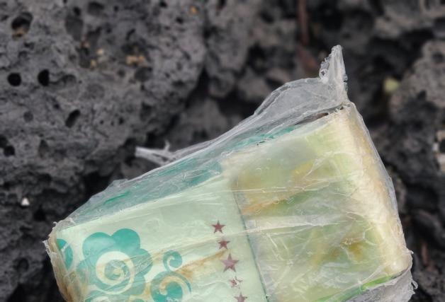 사흘 연속 제주 해안가서 마약류 의심 물체 발견…벌써 15번째