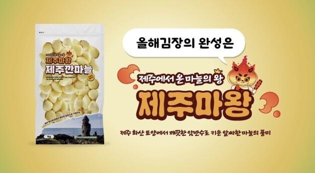 제주 깐마늘 통합 브랜드 '제주마왕' 개발…"김장철 특수 노린다"
