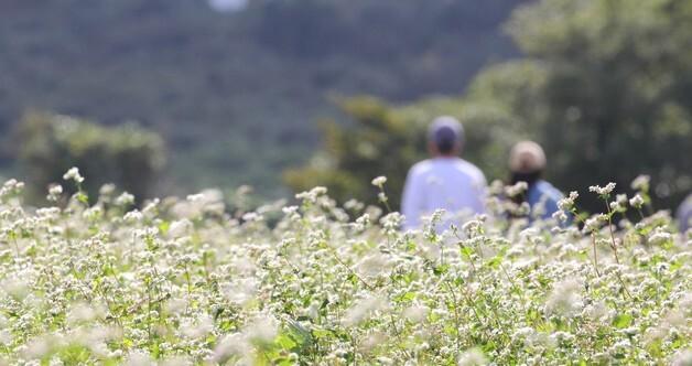 [오늘의 날씨]제주(3일, 월)…초속 15m 강풍, 체감온도 '뚝'