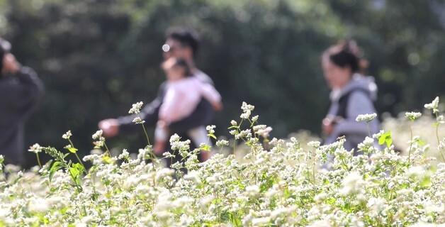 [오늘의 날씨]제주(4일,화)…대체로 흐림