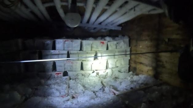 비밀어창에 갈치·병어 1만3천kg…'조업일지 허위 기재' 中 어선 2척 적발