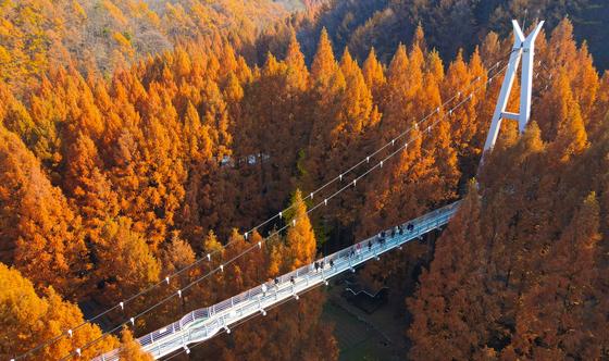 깊어가는 늦가을