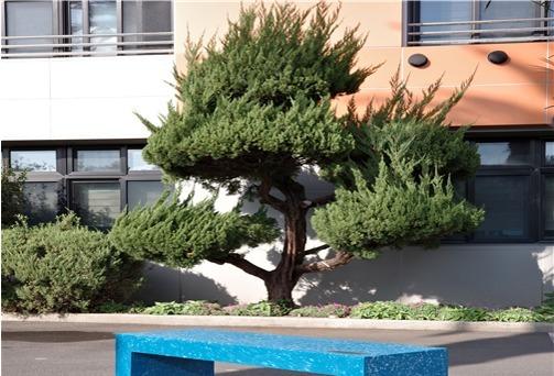 제주사대부중, 전교생 모은 플라스틱 병뚜껑 2만개로 '벤치' 제작