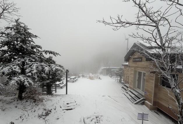 올겨울 첫 대설특보 발효…서해안·제주 중심 최대 17㎝ 눈 쌓여(종합)