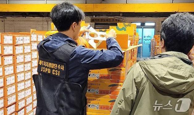 제주 상품외감귤 유통 적발시 '원 스트라이크 아웃'