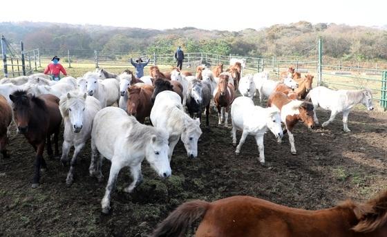 [오늘의 날씨]제주(7일, 금)…흐리고 낮 22~23도