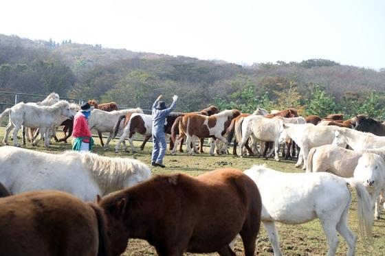 [오늘의 날씨] 제주(12일, 수)…흐리고 해안엔 높은 물결