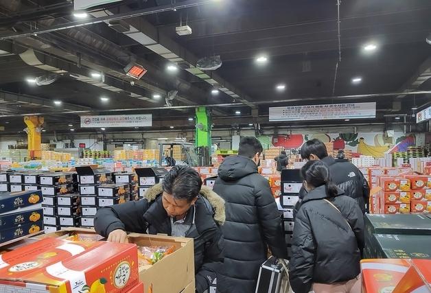 서귀포시, 가락동시장서 상품외감귤 4건·1.2톤 적발