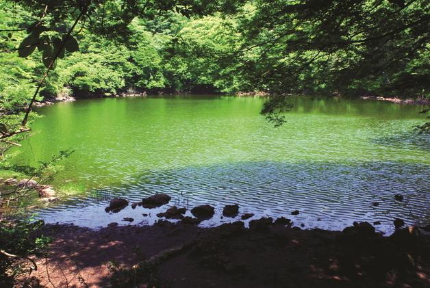 조천읍 물찻오름, 제주도 지정 습지보호지역 1호 선정