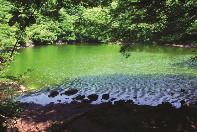 조천읍 물찻오름, 제주도 지정 습지보호지역 1호 선정