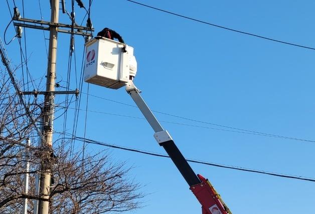 제주 고압전선 절단 사고로 452가구 정전…"보수 공사 중"