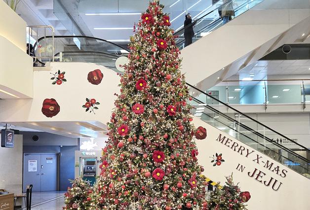 '메이플' 팝업·동백꽃 성탄트리…제주공항 연말 맞아 새 단장