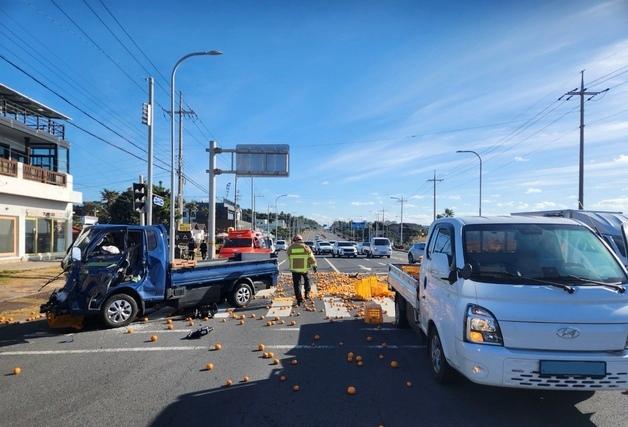 제주서 감귤 나르던 트럭 충돌…2명 병원 이송