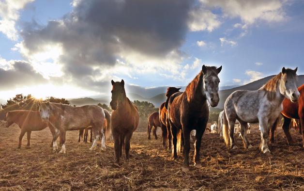 [오늘의 날씨] 제주(6일, 화)…맑다가 오후부터 '흐림'
