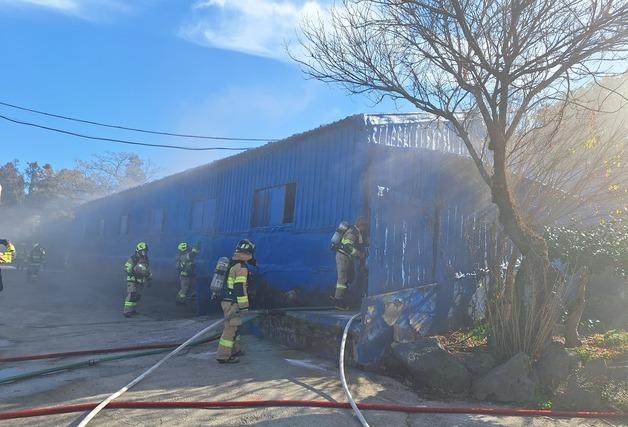 제주 양돈장 화재로 돼지 12마리 피해…30분 만에 완진