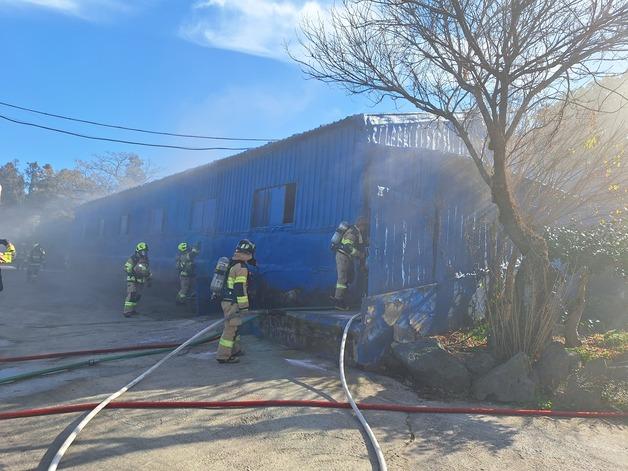 제주 양돈장 화재로 돼지 12마리 피해…30분 만에 완진