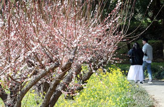 [오늘의 날씨] 제주(13일, 금)…낮 최고 11~13도
