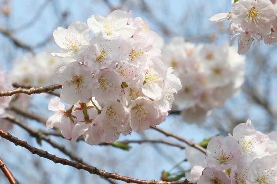 [오늘의 날씨]제주(28일, 토)…낮 최고 20도·미세먼지 '나쁨'
