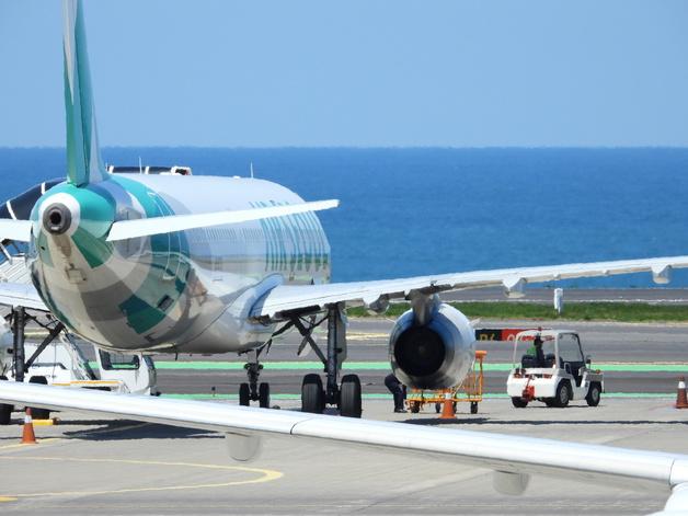 제주공항 활주로서 비행기 비상문 연 30대 징역형 집유