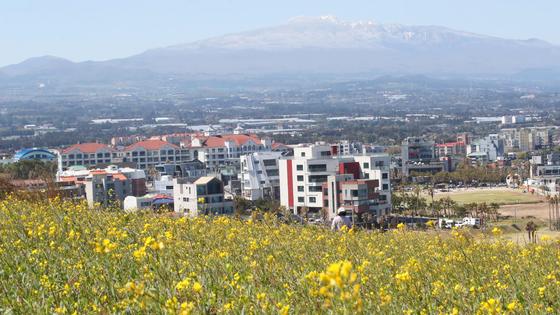[오늘의 날씨] 제주(13일, 금)…낮 최고 13~15도
