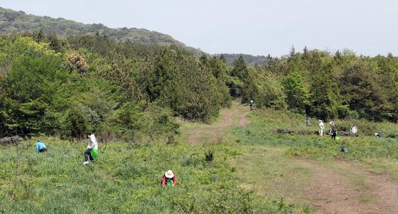 제주소방 "고사리철 길 잃음 사고 4월에 72%…안내 표식 확대 설치"