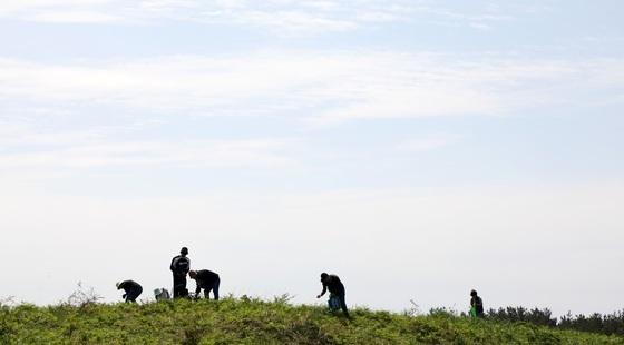 제주서 고사리 뜯으러 나선 80대 길잃어…신고 2시간만에 발견