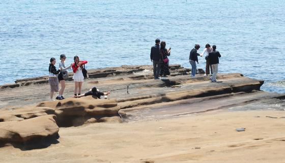 제주, '염생식물 군락지 조성' 본격화…"탄소 흡수·생태계 복원"