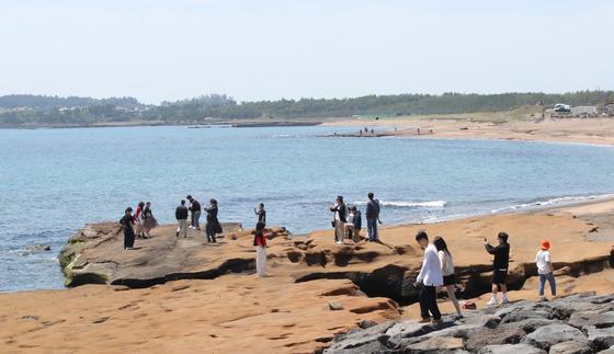 "제주 사계·신양 해안사구 해양 보호구역 지정해야"