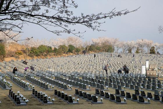 제78주년 제주 4·3희생자 추념식 슬로건 공모