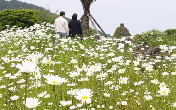 [오늘의 날씨]제주(13일, 화)…낮 최고 23도, 일교차 커