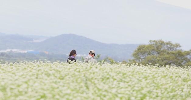 [오늘의 날씨] 제주(22일, 목)…낮 최고기온 24도